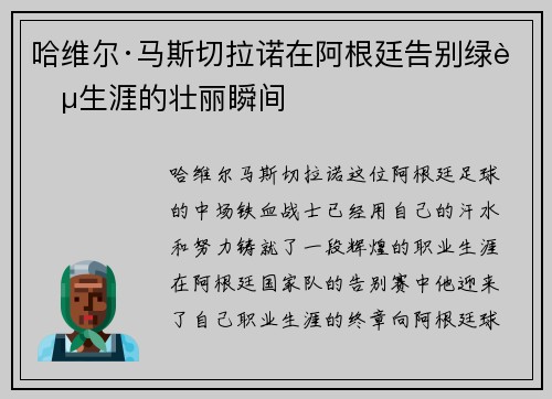 哈维尔·马斯切拉诺在阿根廷告别绿茵生涯的壮丽瞬间